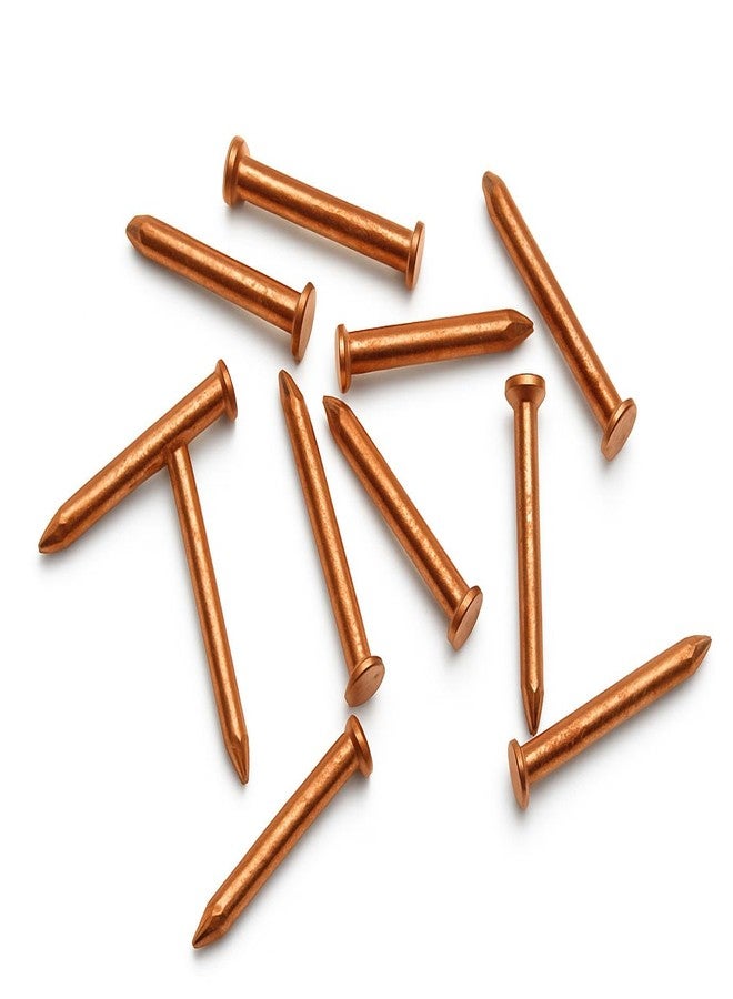 BITONA® Copper Nails for Vastu | Pure Copper Nail (Tamba Keel/Tambe Ki Kil) | Set of 11 Copper Nails for Vastu Dosh Correction, Pooja & Positive Energy - Image 1