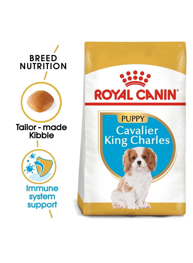 رويال كانين طعام صحي للسلالة كافالير كينج تشارلز بابي 1.5 كجم