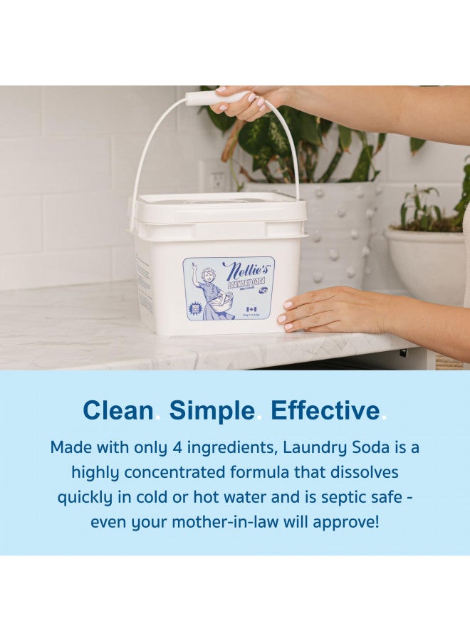 Nellie's Nellie's Laundry Soda - Concentrated Laundry Detergent Powder -Bulk 500 Loads - Eco-Friendly, Biodegradable, Vegan, Hypoallergenic, Fragrance-Free, and Non-Toxic Formula  - Image 1