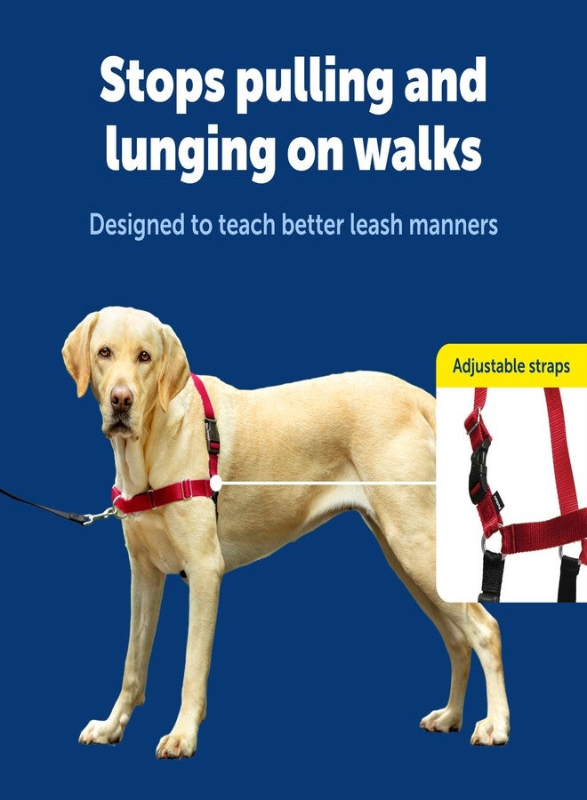 بيت سيف سرج PetSafe Easy Walk للكلاب - السرج الأمثل لمنع الشد - نزهات بدون شد - تحكم في كلبك وعلمه آداب المشي بالزمام - تصميم حلقة مارتينجال الحاصل على براءة اختراع - أحمر، كبير - Image 4