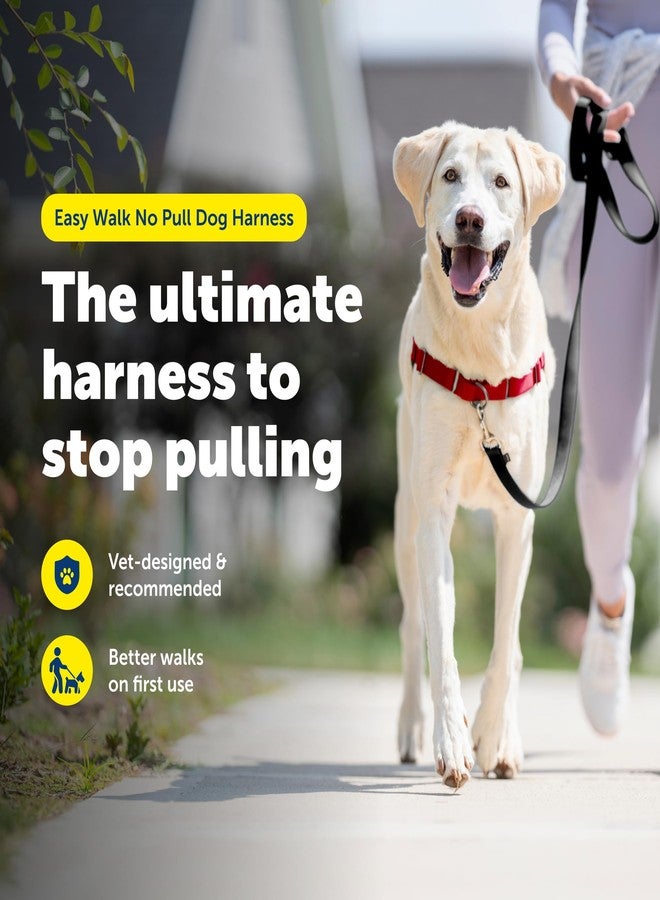 بيت سيف سرج PetSafe Easy Walk للكلاب - السرج الأمثل لمنع الشد - نزهات بدون شد - تحكم في كلبك وعلمه آداب المشي بالزمام - تصميم حلقة مارتينجال الحاصل على براءة اختراع - أحمر، كبير - Image 3