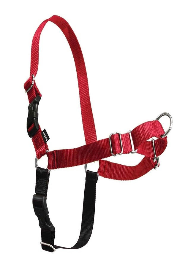 بيت سيف سرج PetSafe Easy Walk للكلاب - السرج الأمثل لمنع الشد - نزهات بدون شد - تحكم في كلبك وعلمه آداب المشي بالزمام - تصميم حلقة مارتينجال الحاصل على براءة اختراع - أحمر، كبير - Image 1