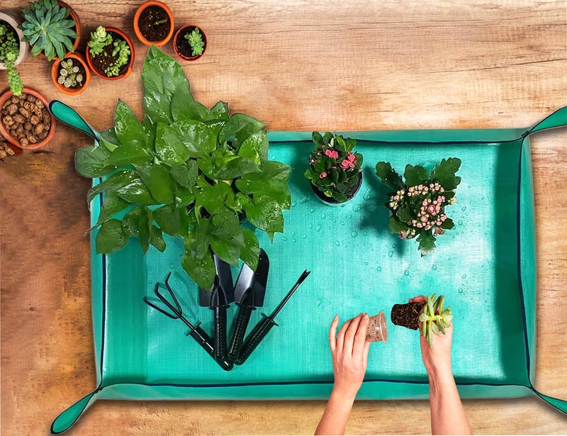 BIUWING 2 PCS Plant Repotting Mat for Indoor Plants, 43" X 29" Thickened Foldable Waterproof Plant Potting Tray and Mess Control, Portable Potting Mat Gardening Tray for House Plants Succulents, Extra Large - Image 3