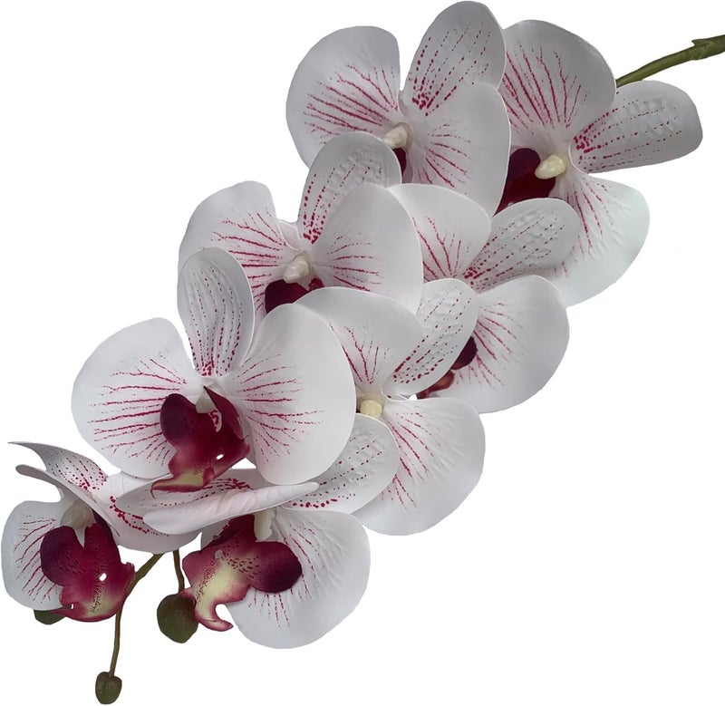 FagusHome Artificial Phalaenopsis Orchids on Stem for Home Decoration 80cm Pack of 6 White with Purple Lines - Image 4