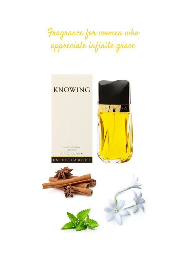 استي لودر ماء عطر نوينغ 75ملليلتر - Image 4