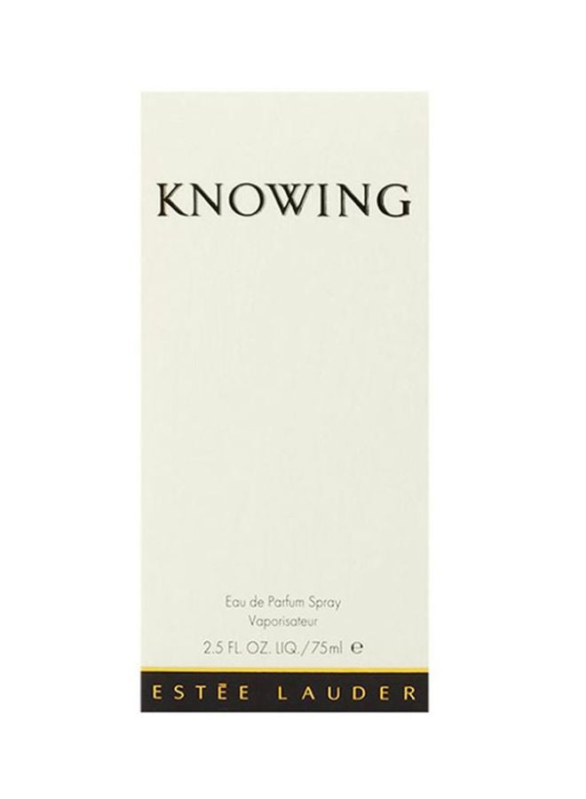 استي لودر ماء عطر نوينغ 75ملليلتر - Image 3