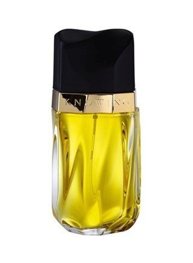 استي لودر ماء عطر نوينغ 75ملليلتر - Image 2