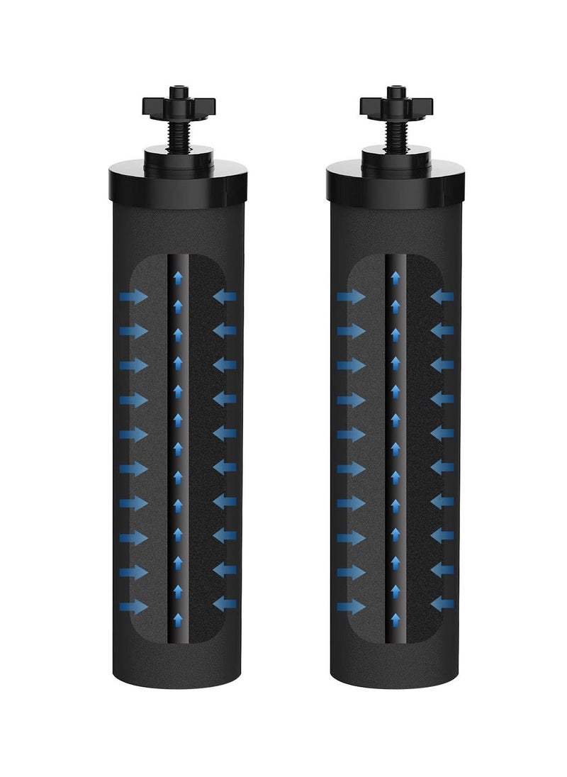 Generic - 2 Pcs Premium Water Filter Black Active Carbon Element Cartridge Compatible with Berkey Countertop Water Purification System 2 9BB Purification Elements Certified by NSF ANSI 42 - Image 1