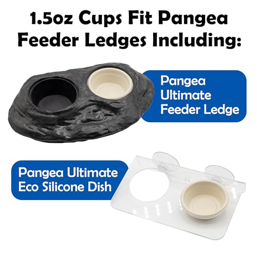 Pangea Large 1.5oz Paper Crested Gecko Food & Water Cups, 100 ct. - Mini Bowls for Reptile Feeding - Image 5