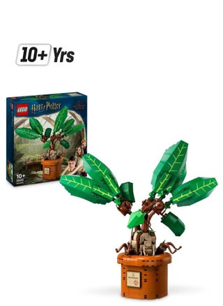 LEGO Harry Potter Wizarding World Mandrake Building Toy Set 76433 - pzsku/Z01617DC18F5B673DF944Z/45/1749119038/9d4e24b3-50ca-4223-a73e-73ef3135c01b