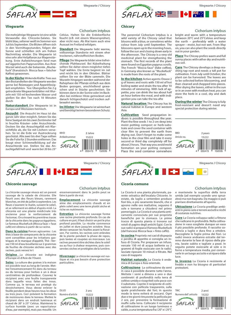 جي جوت مجموعة الهدايا - الهندباء البرية - 250 بذرة - سيكوريوم إنتيبوس - Image 3