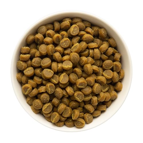 Zuke's Zuke’s Mini Naturals Dog Training Treats for Dogs of All Sizes, Pet Treats made with Real Salmon, 16 oz. Resealable Pouch - 16 oz. Bag - Image 2