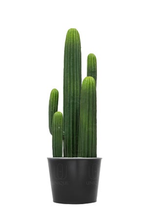 Cactus Artificial Plant Triple Trunk Triple Stem H65CM - pzsku/Z0162FE502CEF26F5BA7EZ/45/1748868879/04ac29a3-6ce1-45d9-bb69-010128476405