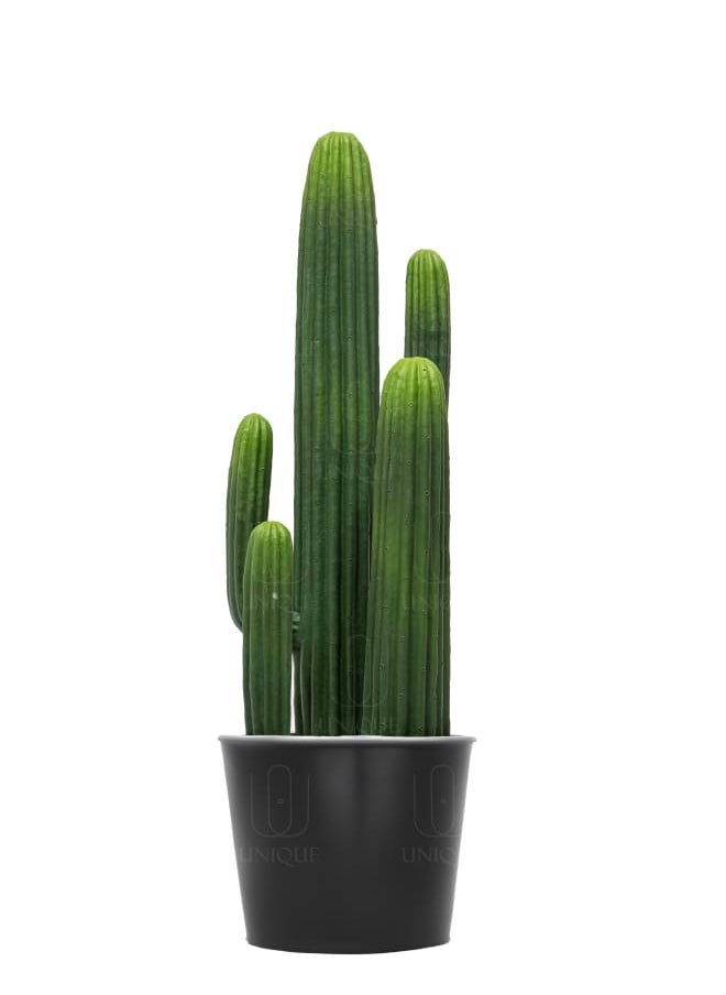 Unique Pots And Plants Cactus Artificial Plant Triple Trunk Triple Stem H65CM 