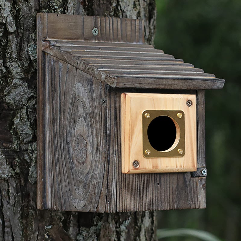 Cloud Fragrant Bluebird House Predator Guard,Metal Birdhouse Guard,Bird House Hole Protector Guard for Eastern Bluebird Box 1 1/2 Inch Opening - Image 5