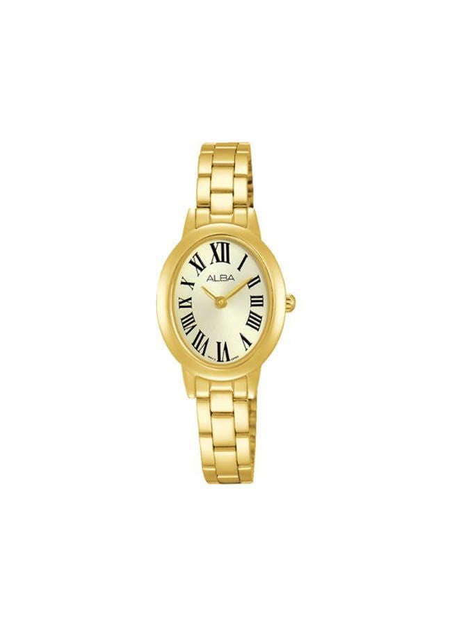Alba Stainless Steel Analog Watch ARW022X