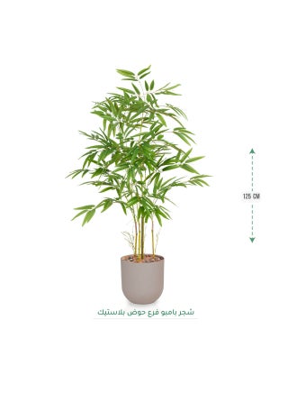 فضي