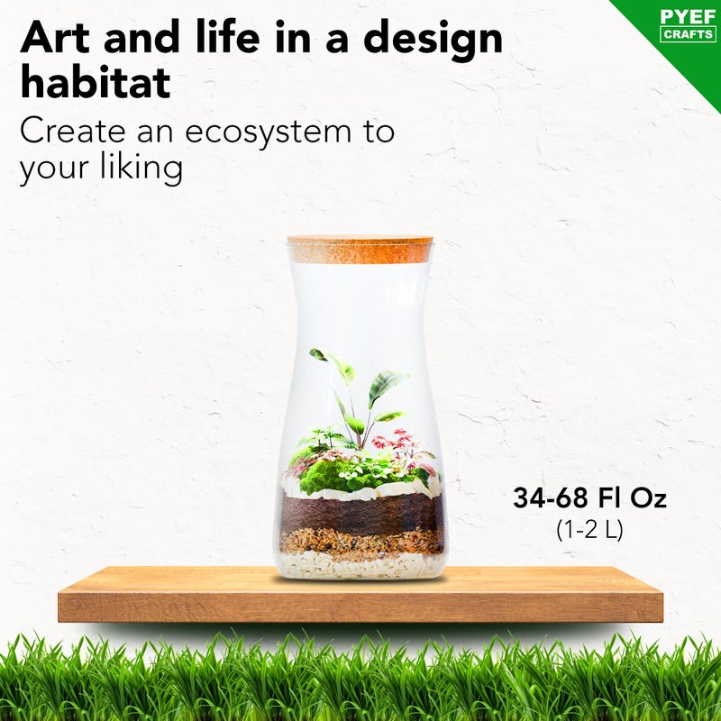 PYEF CRAFTS DIY Terrarium Kit for Plants â€“ Build a Selfâ€‘Sustaining Closed Ecosystem â€“ Supplies for Up toâ€¯68 ozâ€¯(1â€‘2â€¯Liter) â€“ Succulents, Airâ€¯Plantsâ€¯(Tillandsia), Fern â€“ Jar Not Included - Image 2