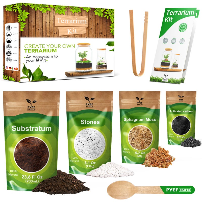 PYEF CRAFTS DIY Terrarium Kit for Plants â€“ Build a Selfâ€‘Sustaining Closed Ecosystem â€“ Supplies for Up toâ€¯68 ozâ€¯(1â€‘2â€¯Liter) â€“ Succulents, Airâ€¯Plantsâ€¯(Tillandsia), Fern â€“ Jar Not Included - Image 1