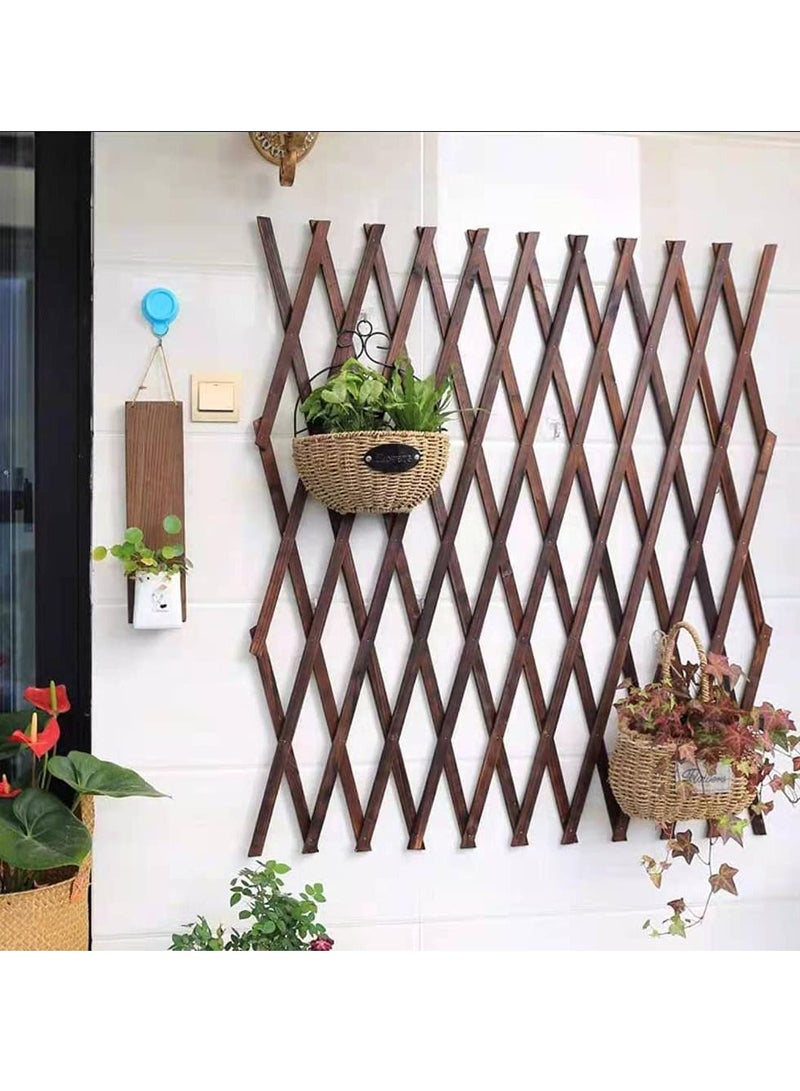 FFD Expandable Wooden Picket Fence Wooden Garden Fence - Image 1