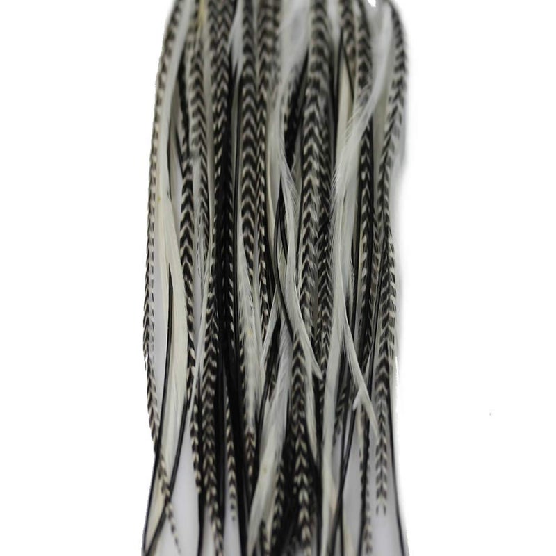 Feather Hair Extensions 100 Real Rooster Feathers Black and White Grizzly 5 Feathers Bonded at The tip