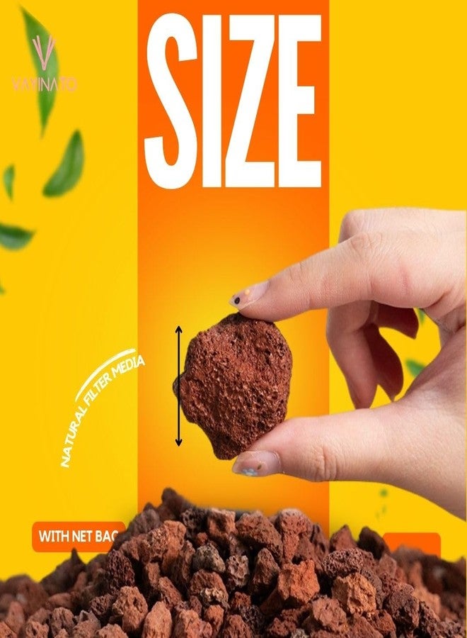 Vayinato Natural Volcanic Rock Aquarium Filter Media, 500G Fish Tank Filtering, Cultivating Nitryfying Bacteria | Removes Harmful Substances | Activated Water Health By Petzlifeworld. - Image 3