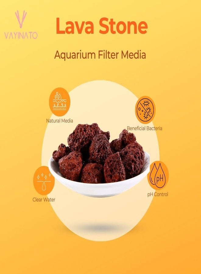 Vayinato Natural Volcanic Rock Aquarium Filter Media, 500G Fish Tank Filtering, Cultivating Nitryfying Bacteria | Removes Harmful Substances | Activated Water Health By Petzlifeworld. - Image 4