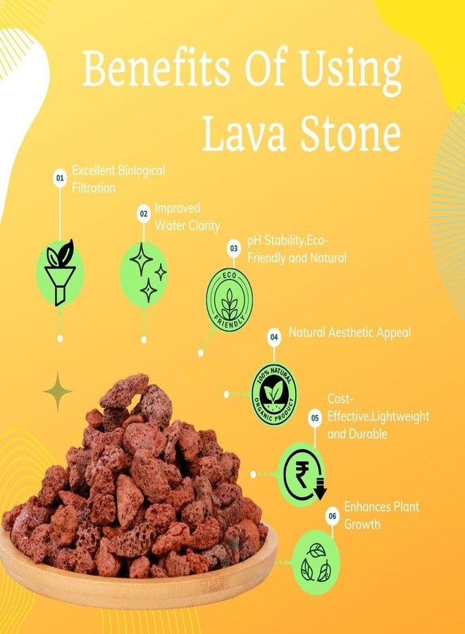 Vayinato Natural Volcanic Rock Aquarium Filter Media, 500G Fish Tank Filtering, Cultivating Nitryfying Bacteria | Removes Harmful Substances | Activated Water Health By Petzlifeworld. - Image 5