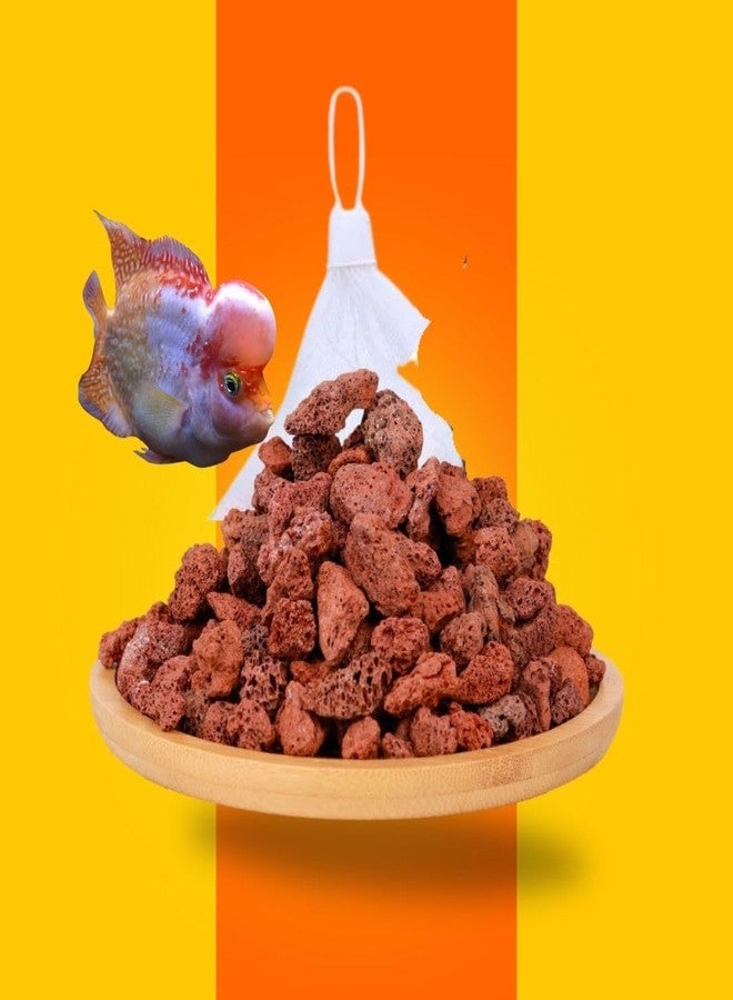 Vayinato Natural Volcanic Rock Aquarium Filter Media, 500G Fish Tank Filtering, Cultivating Nitryfying Bacteria | Removes Harmful Substances | Activated Water Health By Petzlifeworld. - Image 1