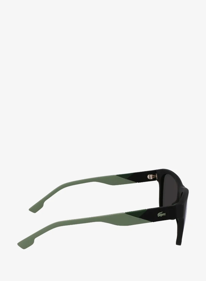 Lacoste  FULL RIM INJECTEDLACOSTE SUN L6043S  | Best Price UAE