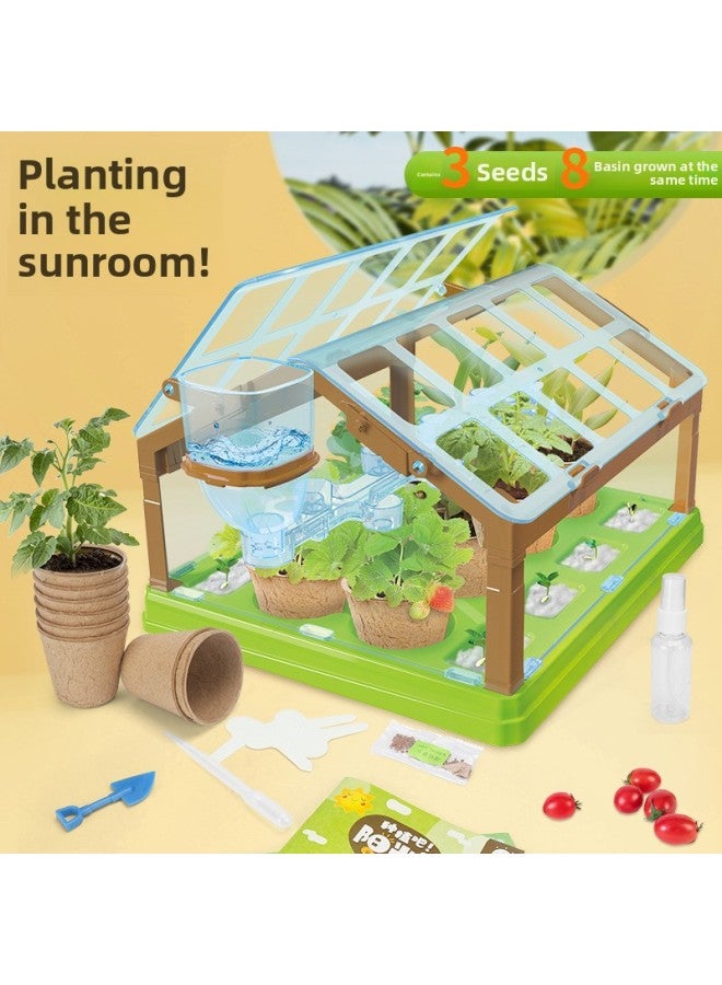 Children's Mini Sunshine Room Planting Creative Plants Fruits And Vegetables Handmade Diy Science Experiment 6 Student Toys-Specifications:Extra Large Fruit-e-commerce Clothing [37cm]]  - Image 3