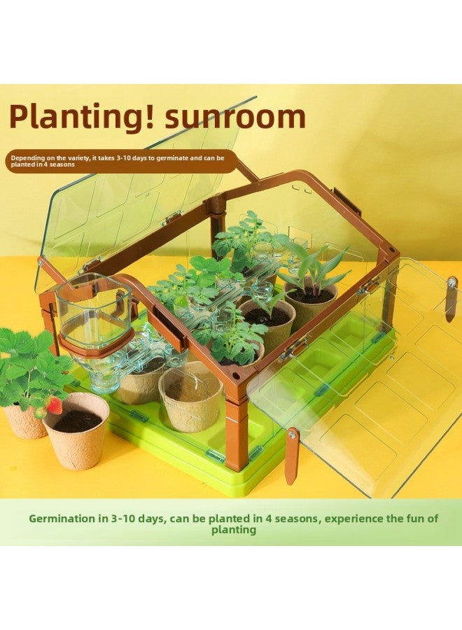 Children's Mini Sunshine Room Planting Creative Plants Fruits And Vegetables Handmade Diy Science Experiment 6 Student Toys-Specifications:Extra Large Fruit-e-commerce Clothing [37cm]]  - Image 2