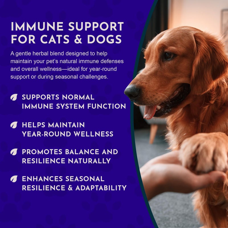 Animal Essentials Super Immune- Herbal Formula for Dogs & Cats to Support Healthy Immune System, Sweet Taste, 100% Organic Human Grade Herbs, Veterinarian Recommended Animal Wellness Tonics - 2 Fl Oz - Image 5