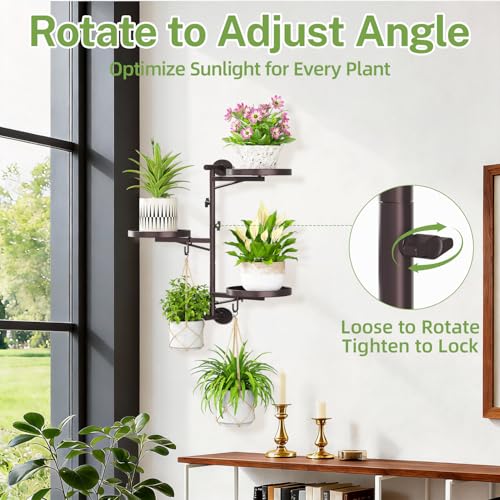 iDavosic.ly Rotating Window Plant Shelves, 3-Tier Metal Wall Stand with 2 Hooks, Flower Display Holder Rack for Living Room, Space Saving, Bronze (Pots/Chains/Plants Not Included) - Image 2