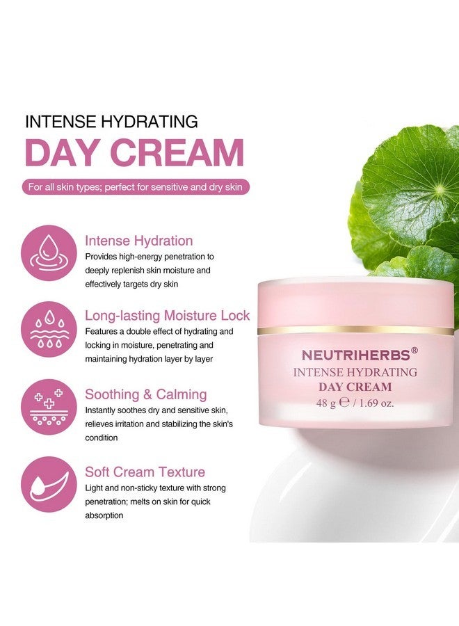 نيوتري هيربس كريم نهاري مكثف للترطيب من نيوتريهيربس، مرطب للوجه بحمض الهيالورونيك، زبدة الشيا، عشبة السنتيلا، يهدئ ويغذي البشرة، كريم وجه خفيف الوزن للبشرة الجافة أو الحساسة - 1.69 أونصة - Image 2