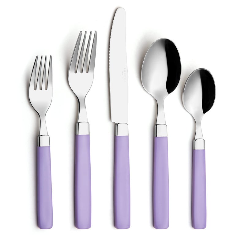 Annova ANNOVA Stainless Steel FlatwareCutlery Set  Color Handles  Dinner Forks Salad Forks Table Knives Tablespoons Teaspoons  Lilac 20 Pieces