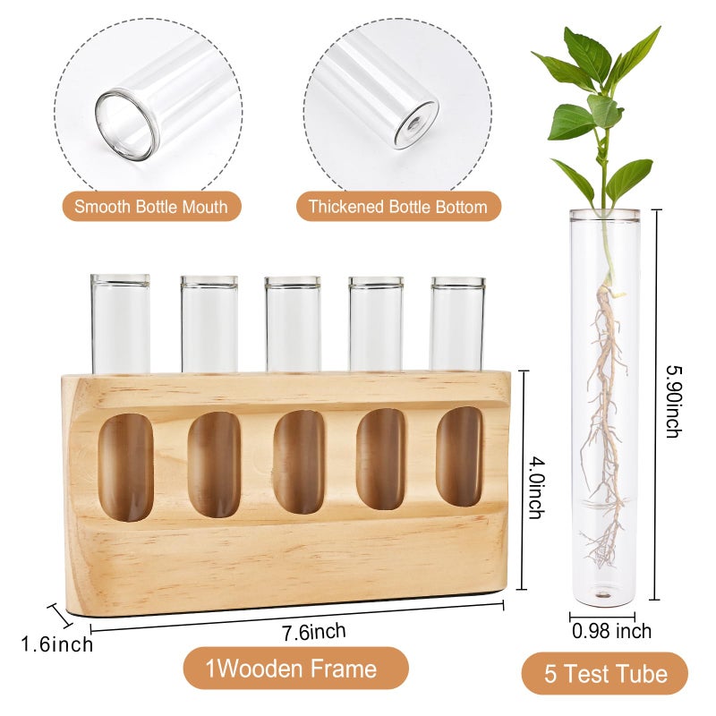 Tigvio Plant Propagation Station with 9-Level Dimmable LED Light, 5 Glass Test Tube Vases, Wooden Stand for Hydroponic Plants, Gardening Gift for Women & Plant Lovers, Desktop Terrarium & Home Decor - Image 2