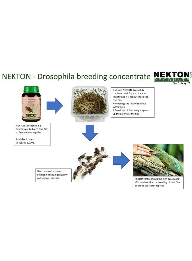 Nekton Drosophila Concentrate Breeding Fruit Flies 250G - Image 2