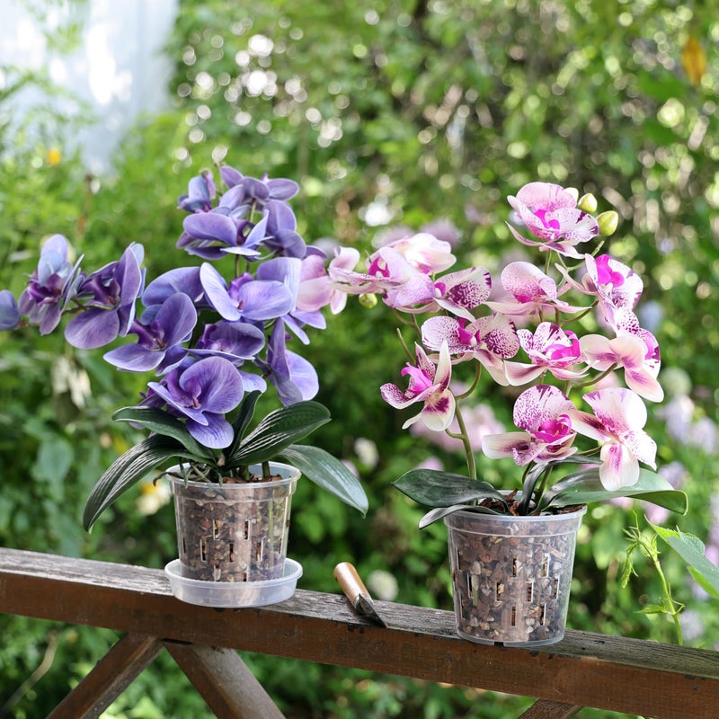 TRUEDAYS Orchid Pot â€“ 4 Pack 6 Inch Clear Orchid Pots with Drainage Holes for Repotting â€“ Ideal for Healthy Root Growth â€“ Sturdy Plastic Plant Pot for Indoor & Outdoor Plants - Image 5