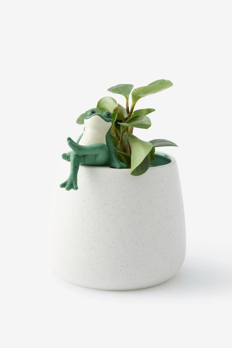 تايبو أصيص معلق