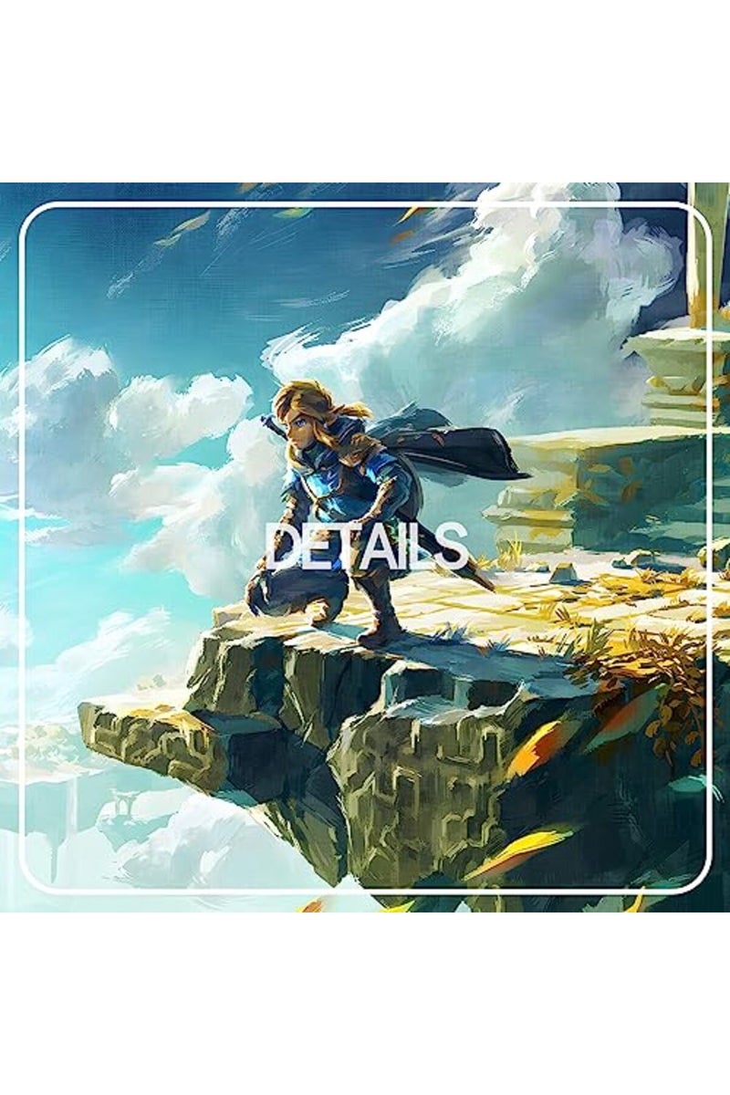 KAIWALK Gaming Poster Tears of the Kingdom Video Game HD Print on Canvas Painting Wall Art for Living Room Decor Boy Gift (Unframed) - Image 5