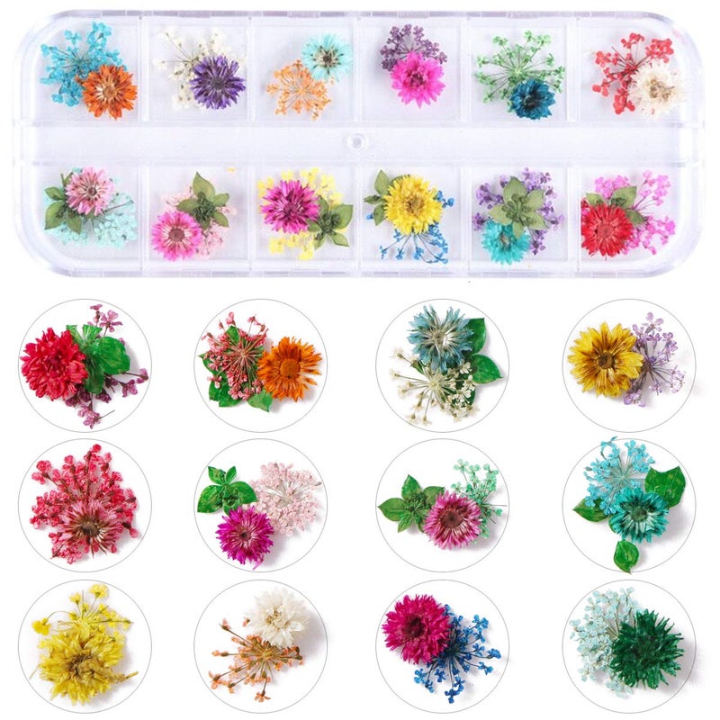 Kissbuty 2 Boxes Dried Flowers for Nail Art, KISSBUTY 24 Colors Dry Flowers Mini Real Natural Flowers Nail Art Supplies 3D Applique Nail Decoration Sticker for Tips Manicure Decor (Gypsophila Flowers Leaves) - Image 3