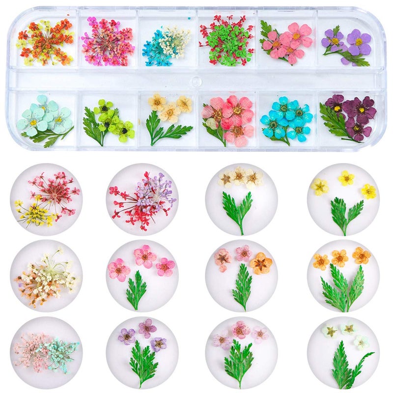 Kissbuty 2 Boxes Dried Flowers for Nail Art, KISSBUTY 24 Colors Dry Flowers Mini Real Natural Flowers Nail Art Supplies 3D Applique Nail Decoration Sticker for Tips Manicure Decor (Gypsophila Flowers Leaves) - Image 4