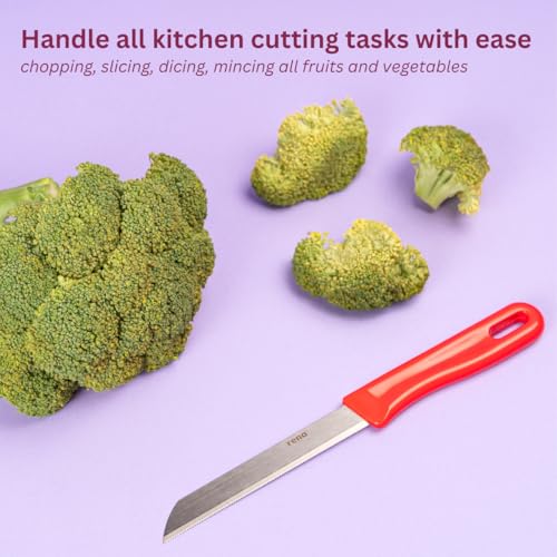 rena 10 Piece 110 mm Serrated Kitchen Knife Set Sharp Stainless Steel Knife Set for Kitchen Use, for Fruits, Vegetables, Bread. Rust Resistant, Dishwasher Safe, Durable & Long Lasting - Image 2
