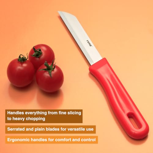 rena 10 Piece 110 mm Serrated Kitchen Knife Set Sharp Stainless Steel Knife Set for Kitchen Use, for Fruits, Vegetables, Bread. Rust Resistant, Dishwasher Safe, Durable & Long Lasting - Image 5