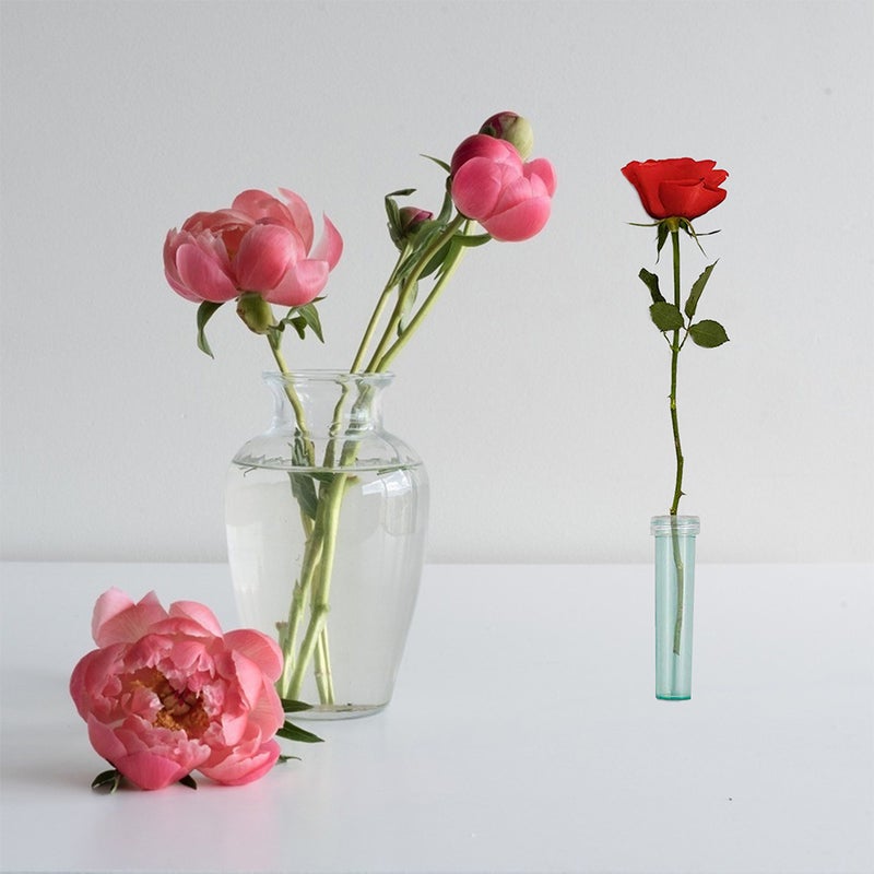 1 Set Flower Water Tubes Floral Tube Flower Vials Flower Vials with Caps for Flower Arrangement - Image 3