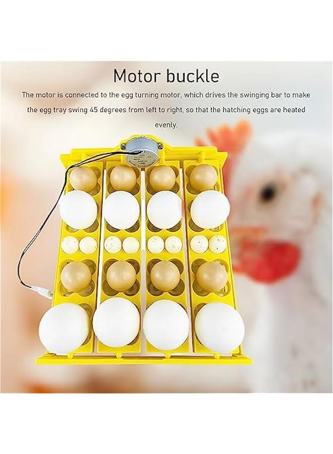 صينية حاضنة البيض، صينية حاضنة بيض متعددة الوظائف مع جهاز تقليب أوتوماتيكي، صينية تقليب أوتوماتيكية لـ 16 بيضة بطة، 16 بيضة، 72 بيضة سمان (تيار متردد 12 فولت) - Image 2