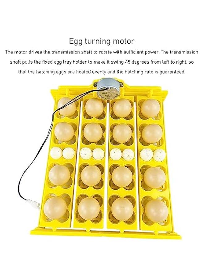 صينية حاضنة البيض، صينية حاضنة بيض متعددة الوظائف مع جهاز تقليب أوتوماتيكي، صينية تقليب أوتوماتيكية لـ 16 بيضة بطة، 16 بيضة، 72 بيضة سمان (تيار متردد 12 فولت) - Image 3