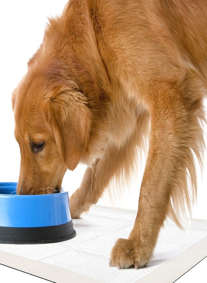 OUT! Petcare Large Dog Pee Pads, Disposable Quilted Training Pads with Pro-Grip, Leak Proof Absorbent Backing, Fast Drying, Puppy Housebreaking, Non Slip, Indoor Pet Potty Supplies, 21x21, 50 Count - Image 5