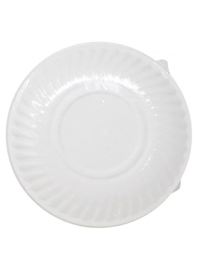 Falcon 100-Piece Disposable Plate Set - Image 3